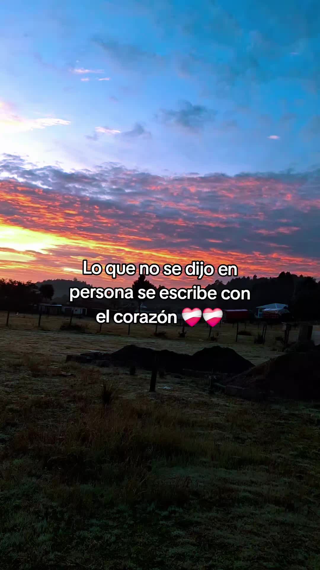 @🐑🦭Juaréz🦦🪼P