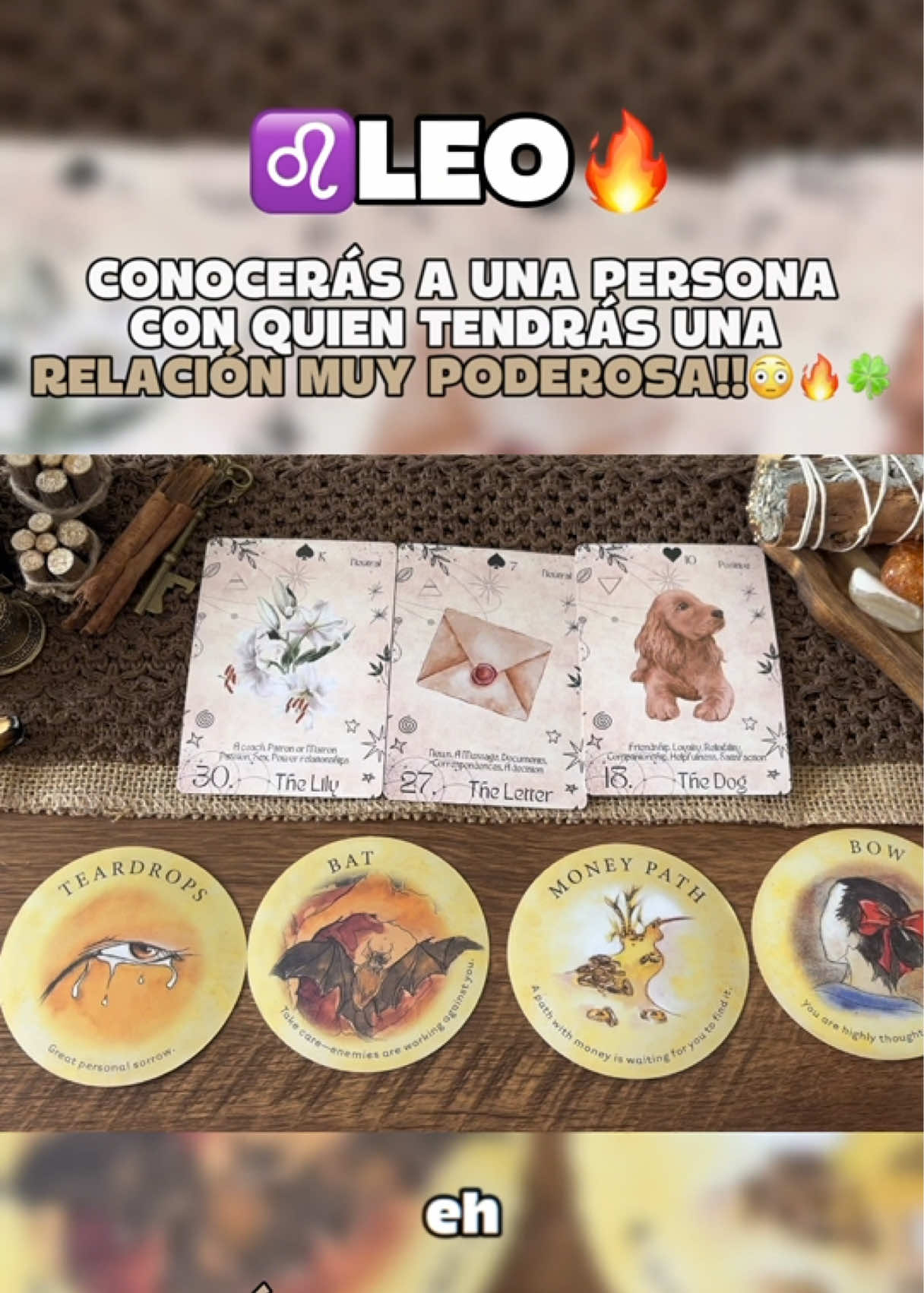 @Andy Sun Tarot ☀️