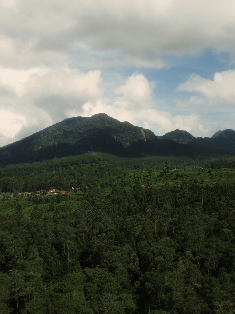 @terbang santai