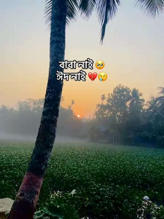 @BP_NAIM