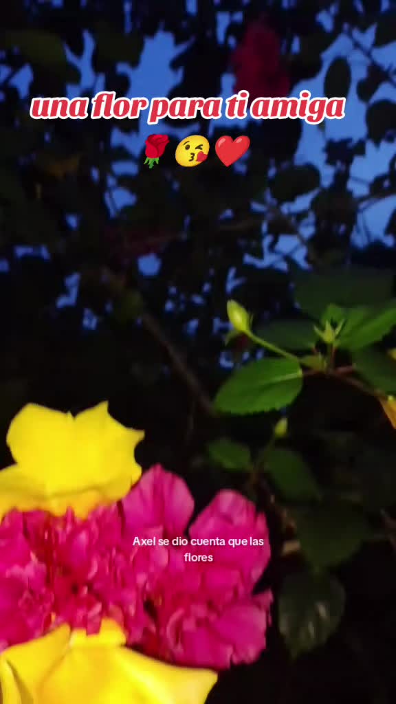 @๐ฉท๐๐ท๐บ๐ธ