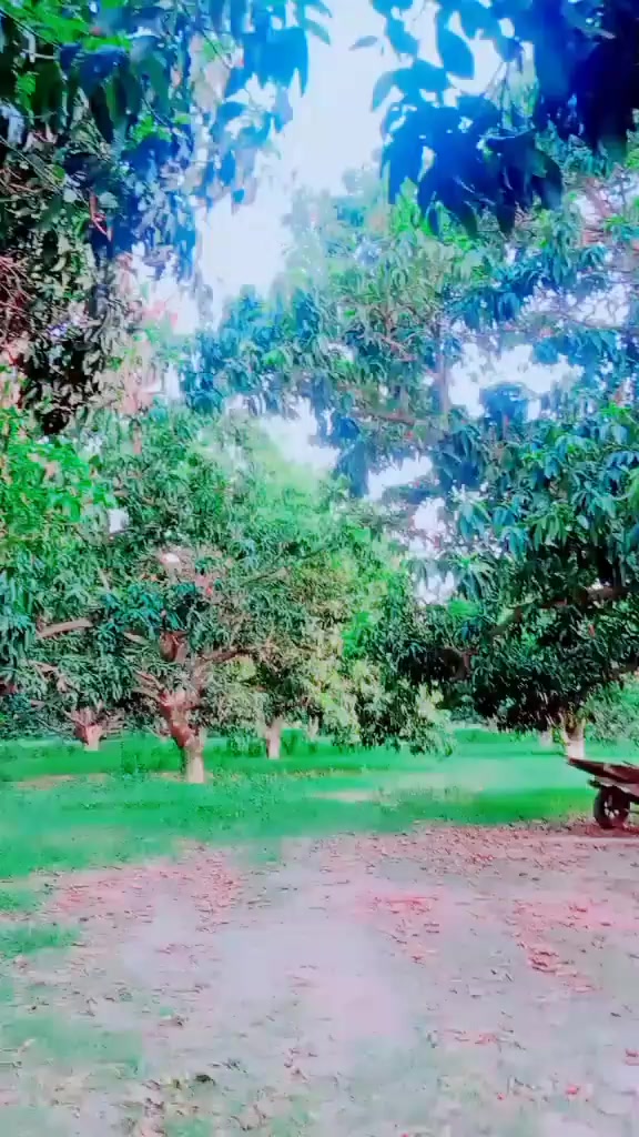 @꧁⪻♥下𝙖ʳꭵ𝖖♥⪼꧂