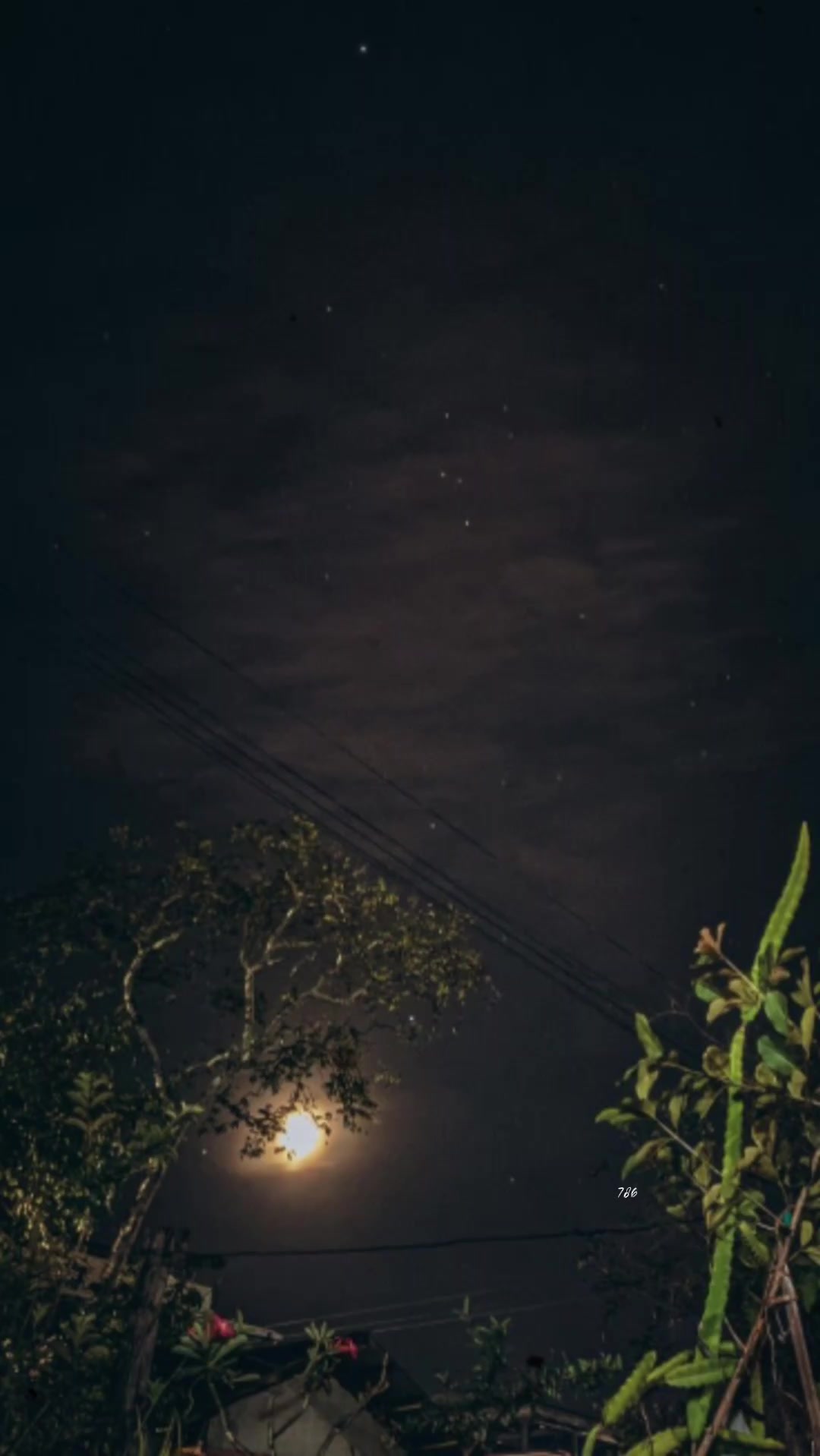 @🕊️23:11🤍