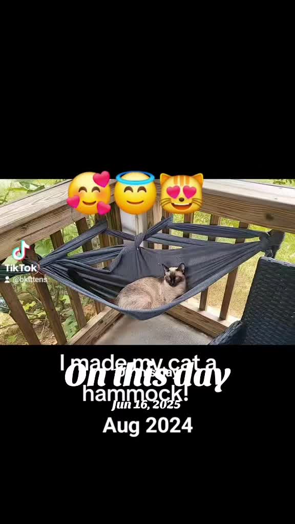 @Brittany Beauties Kittens