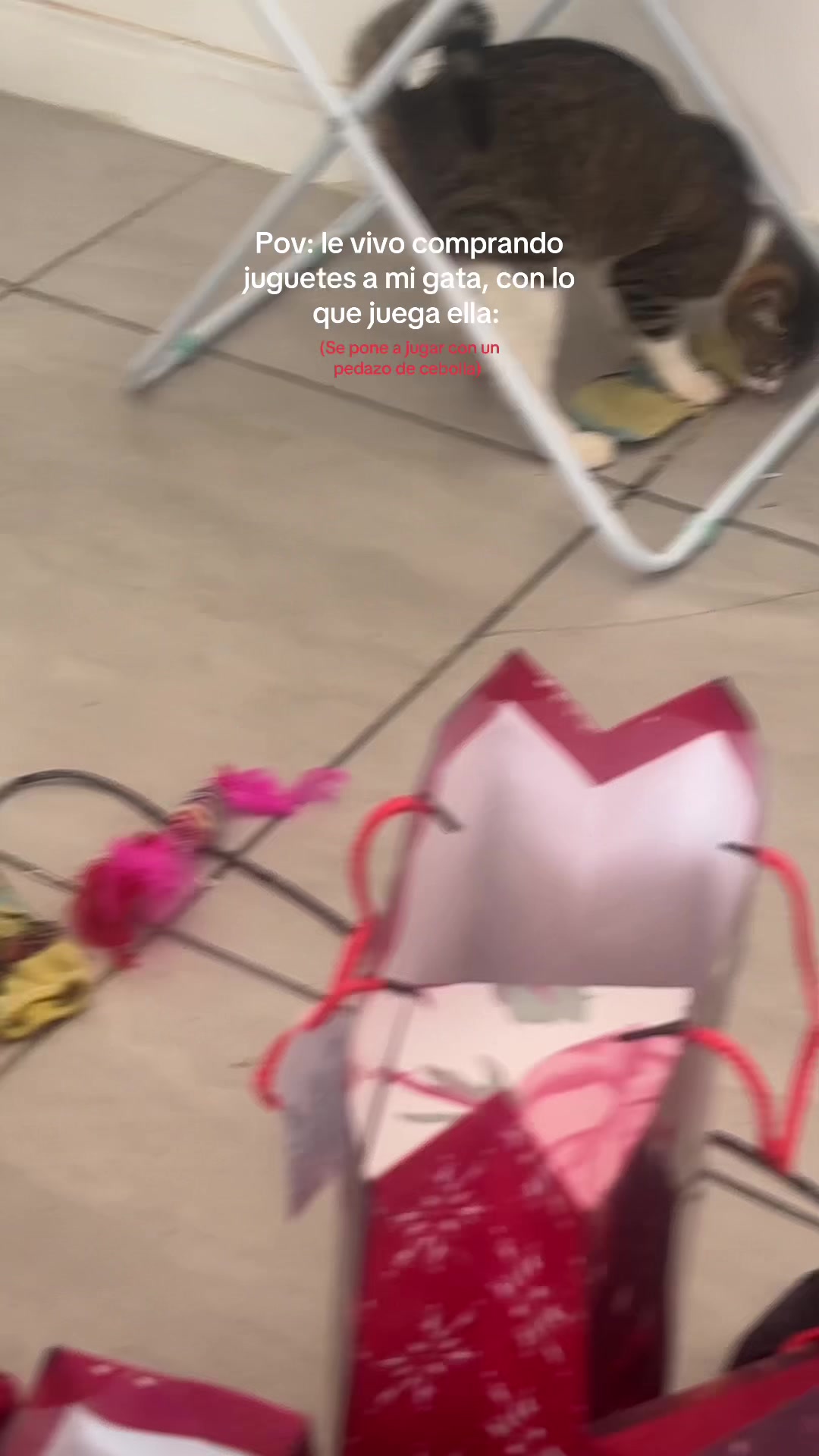 @Rocio otero