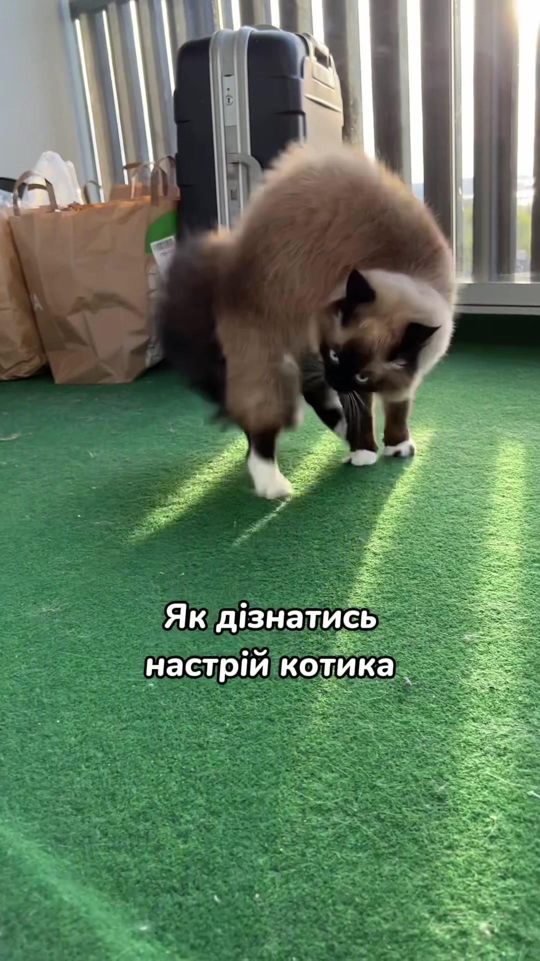 @Місс КІСЯ