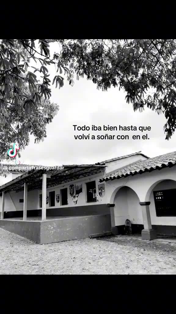 @💔Dachel🦭🍄