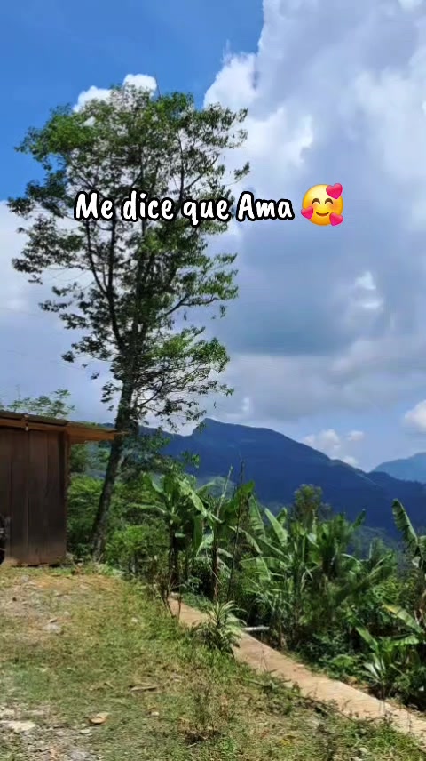 @Nêlly López