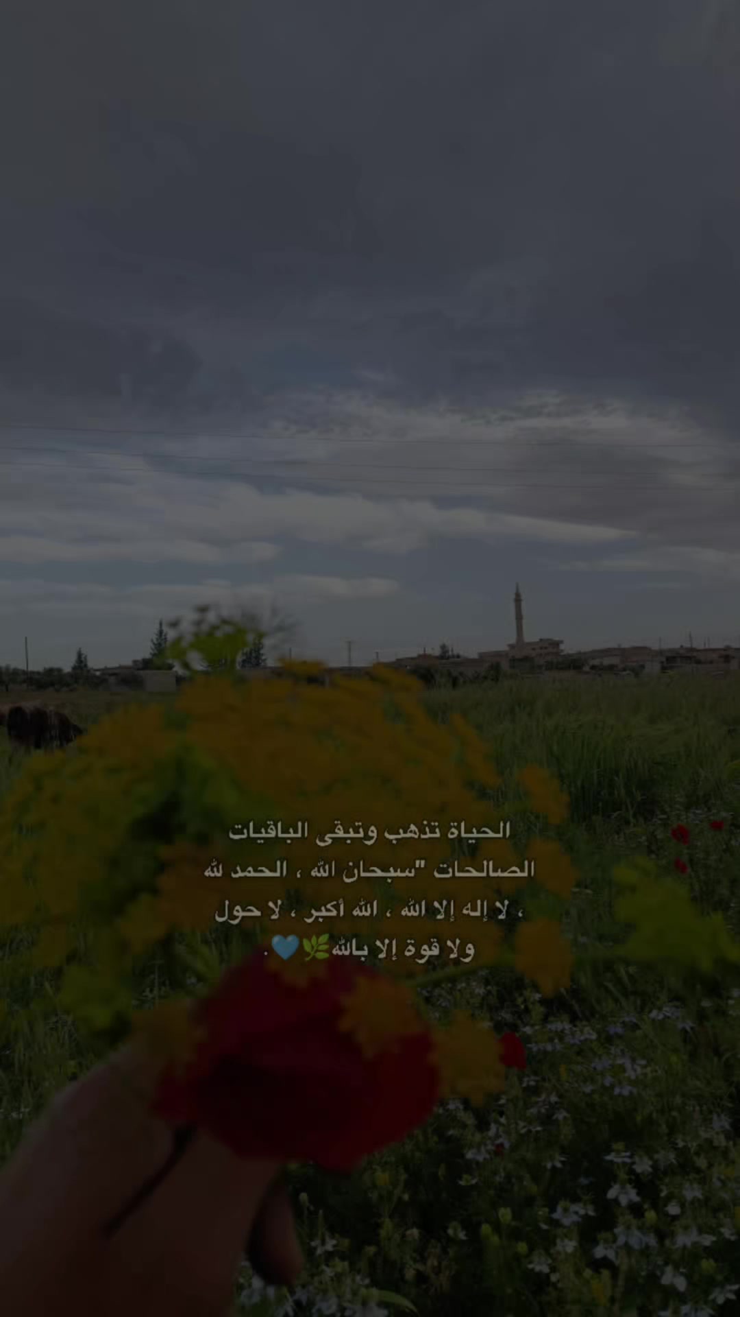 @يونس ال علوش