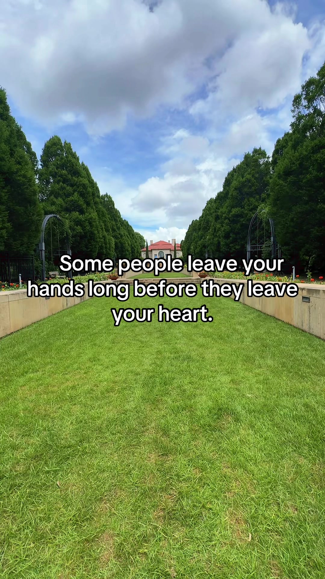 @Dear Iris