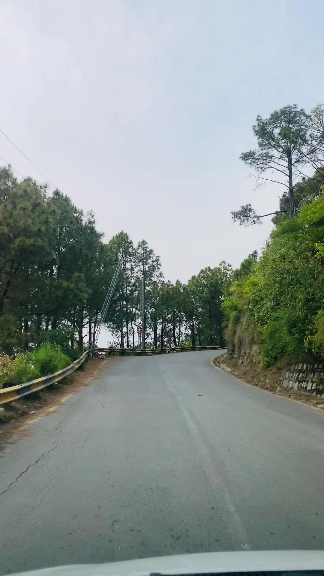 @Forever in Frame