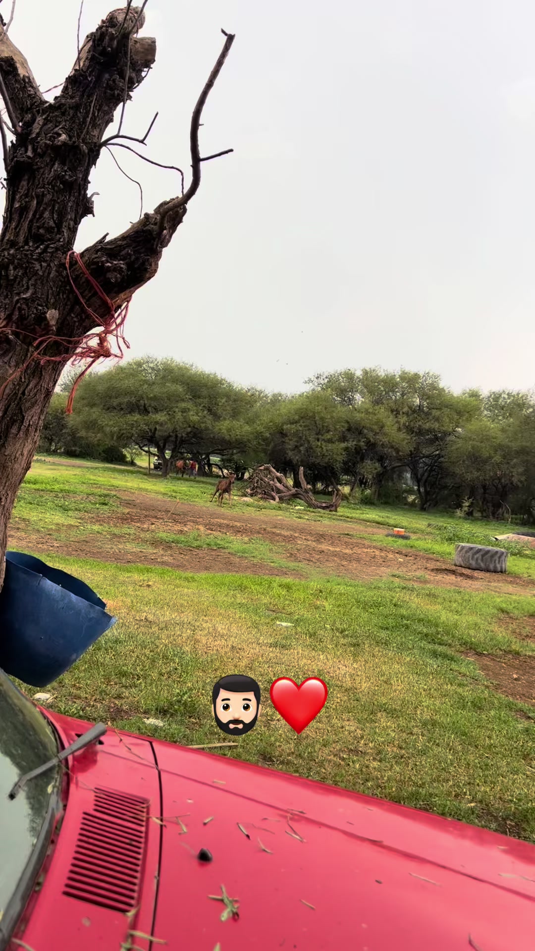 @Merry 💗