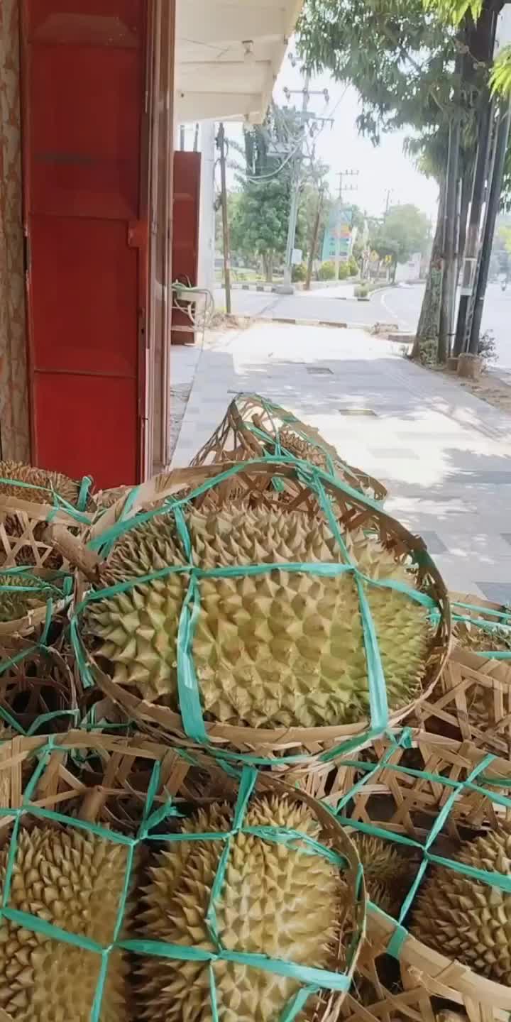 @Kenzhi Durian Tuban