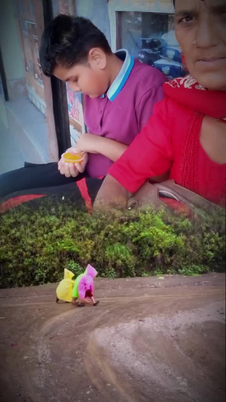 @चन्द्रकला पौडेल  गल्कोट.