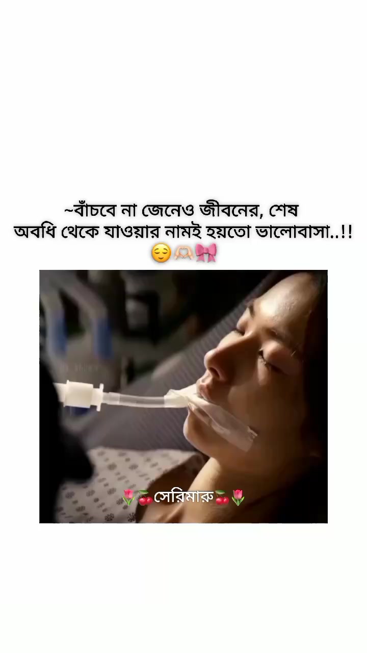 @🌷🍒সেরিমারু🍒🌷