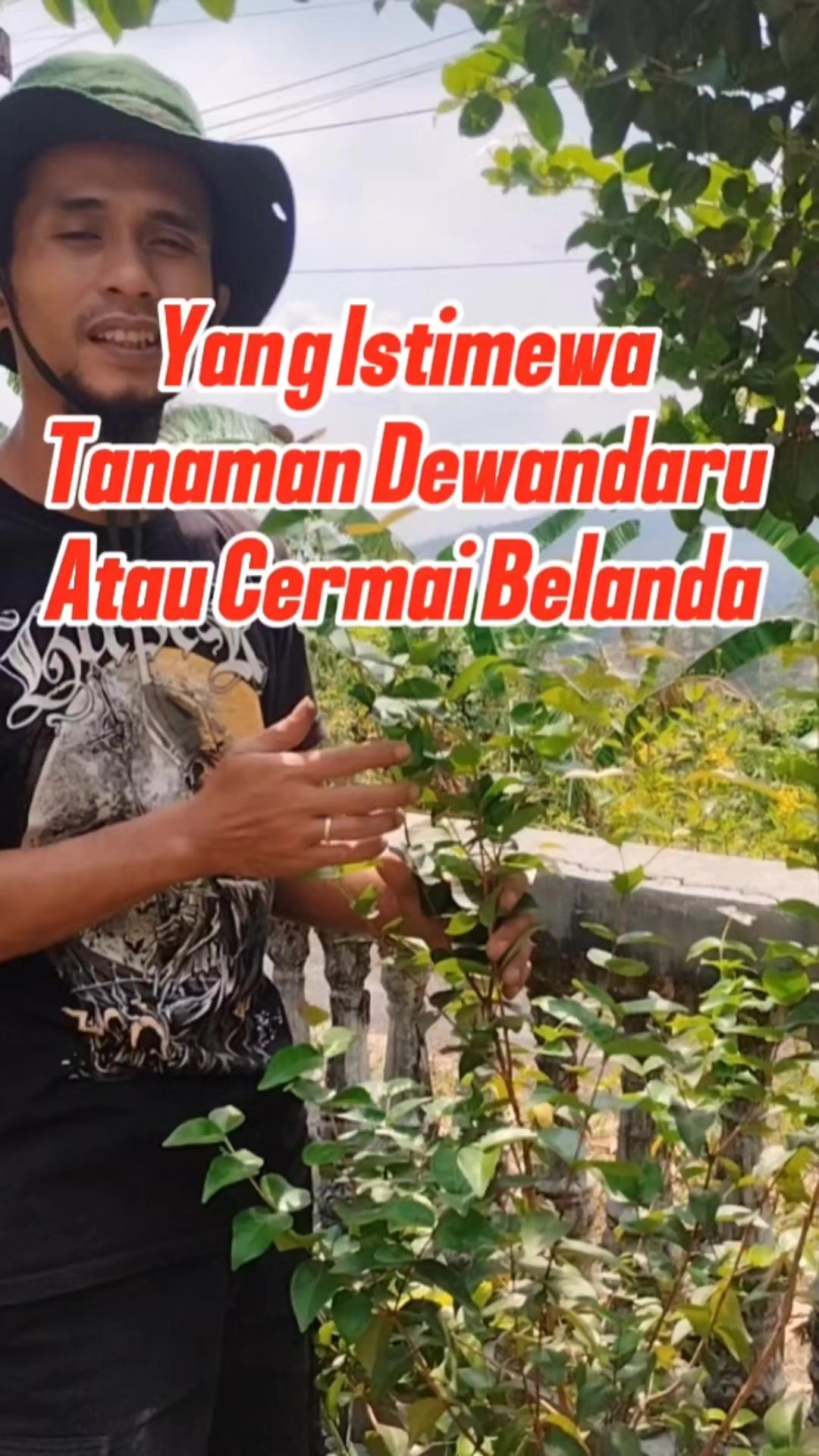 @Bukit Farming