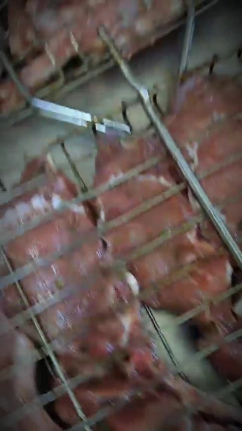 @кафе 👍ЛИОН 👍