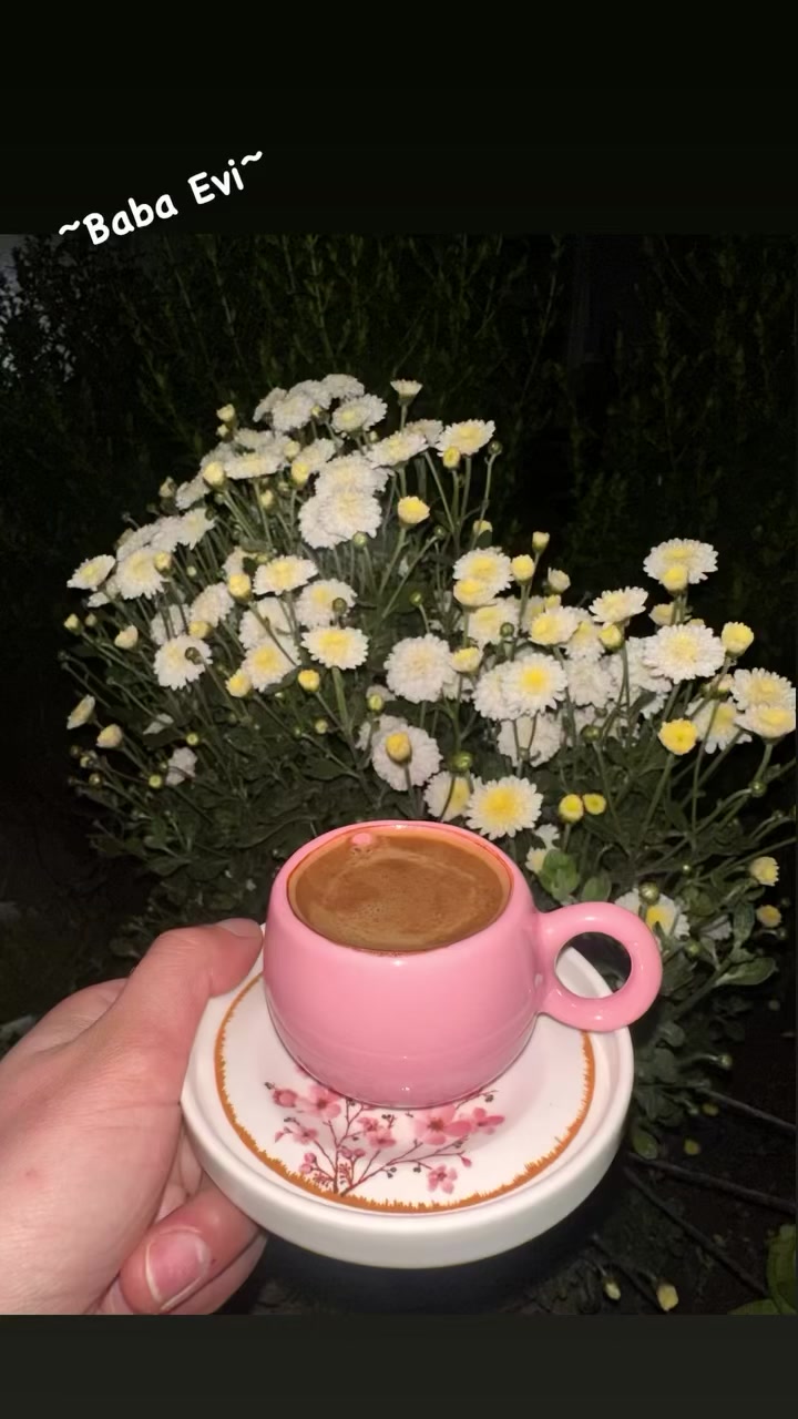 @Elif_seda_42