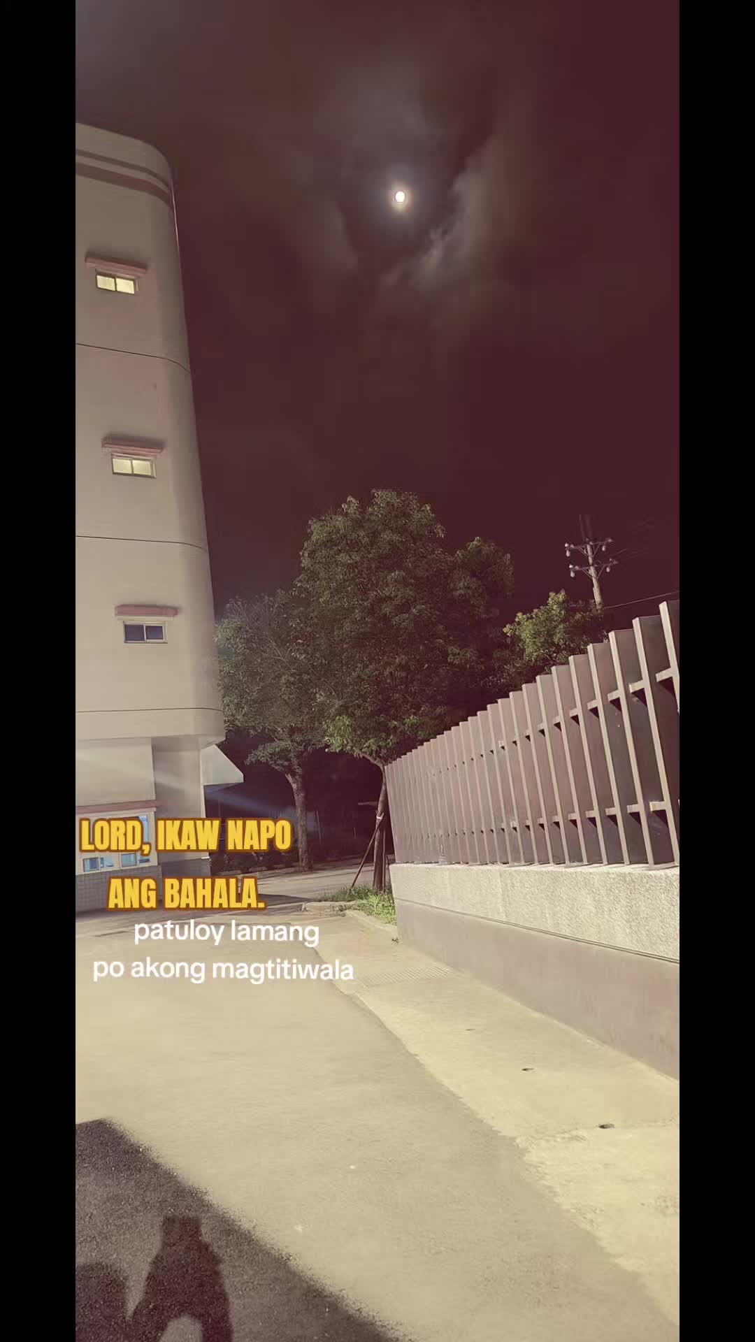 @Tobalitz🇹🇼🇵🇭