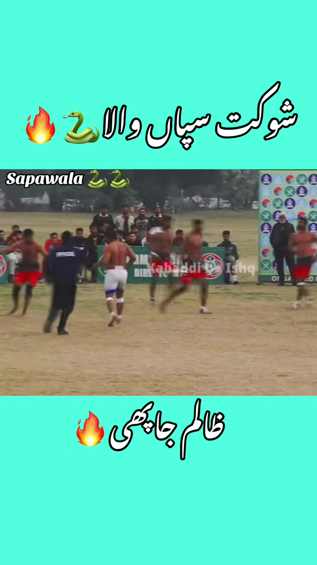@Shokat sapa wala 🐍🐍