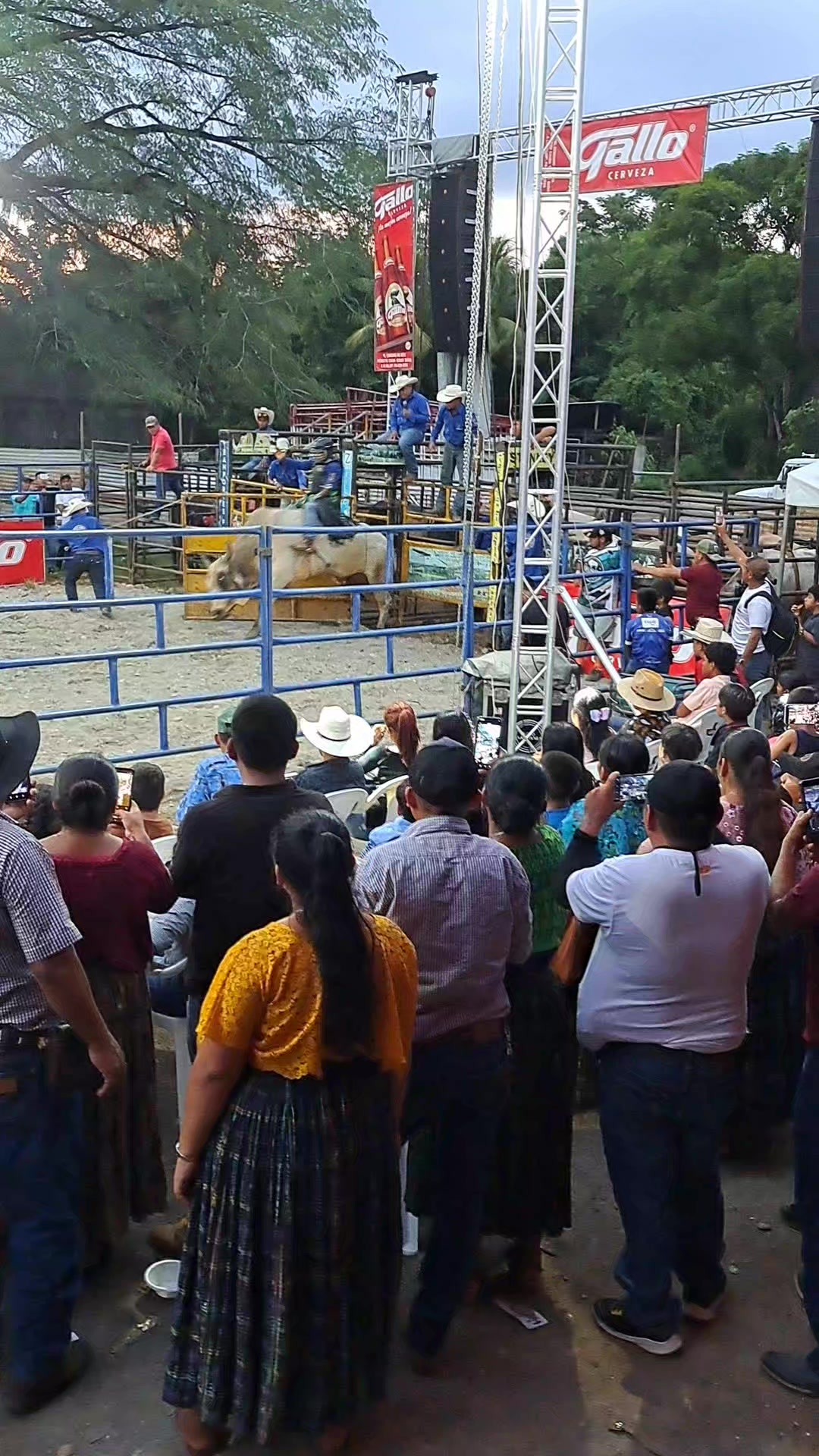 @Tío Rudy