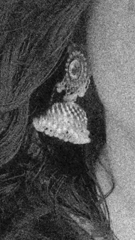 @🦋NOOR🦋