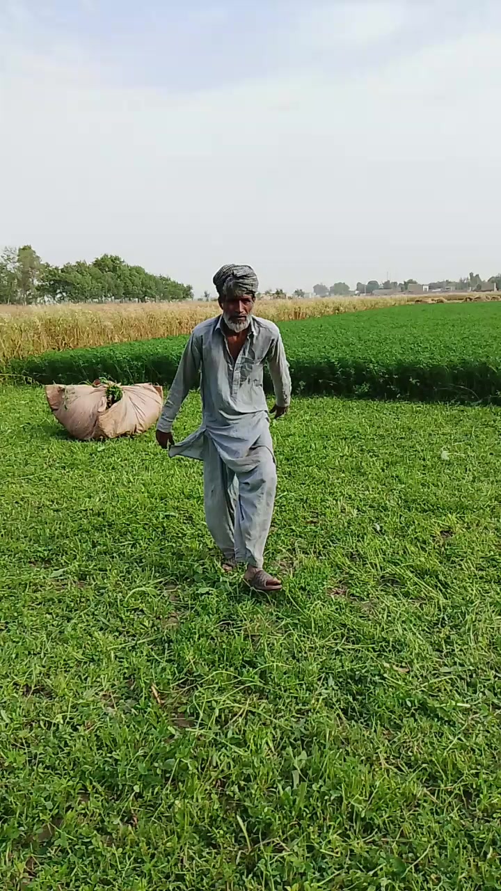 @khizargujjar7709