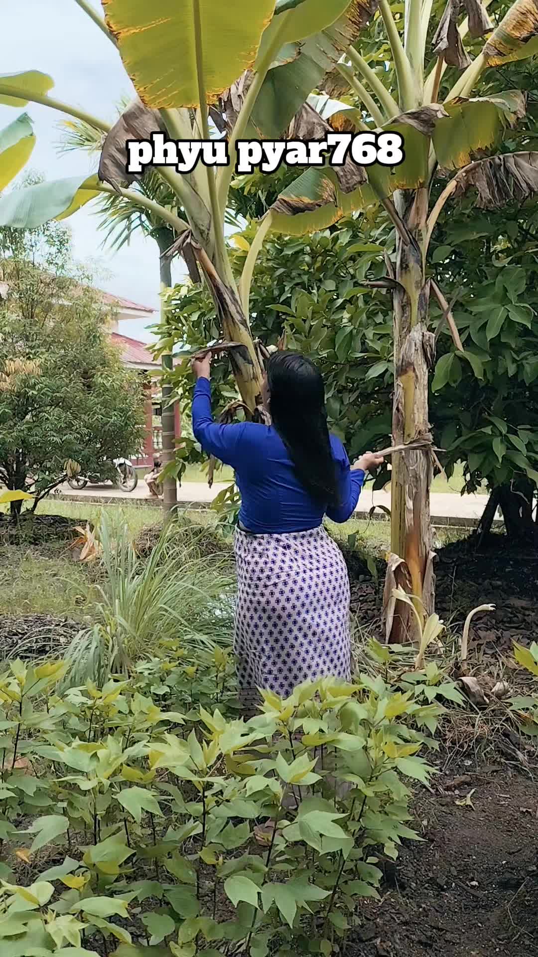 @phyupyar768
