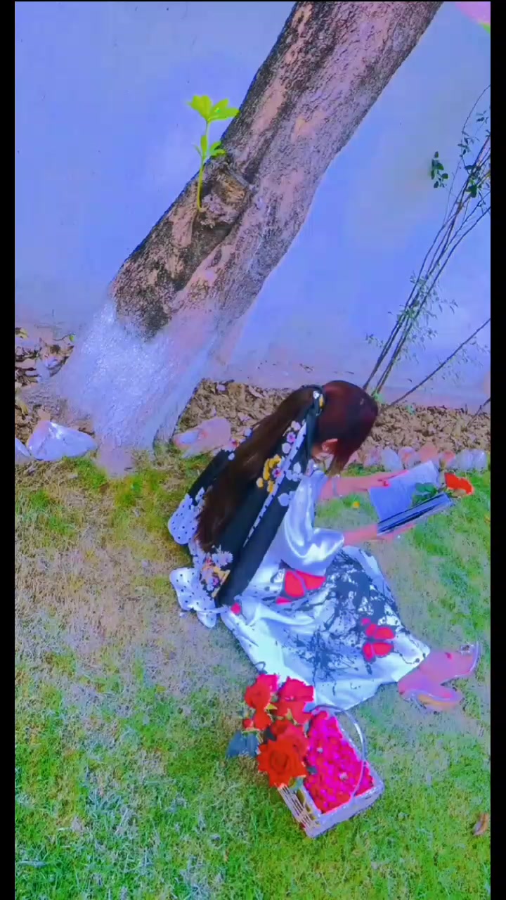 @Hub chauki ki👑 shehzadi 👑