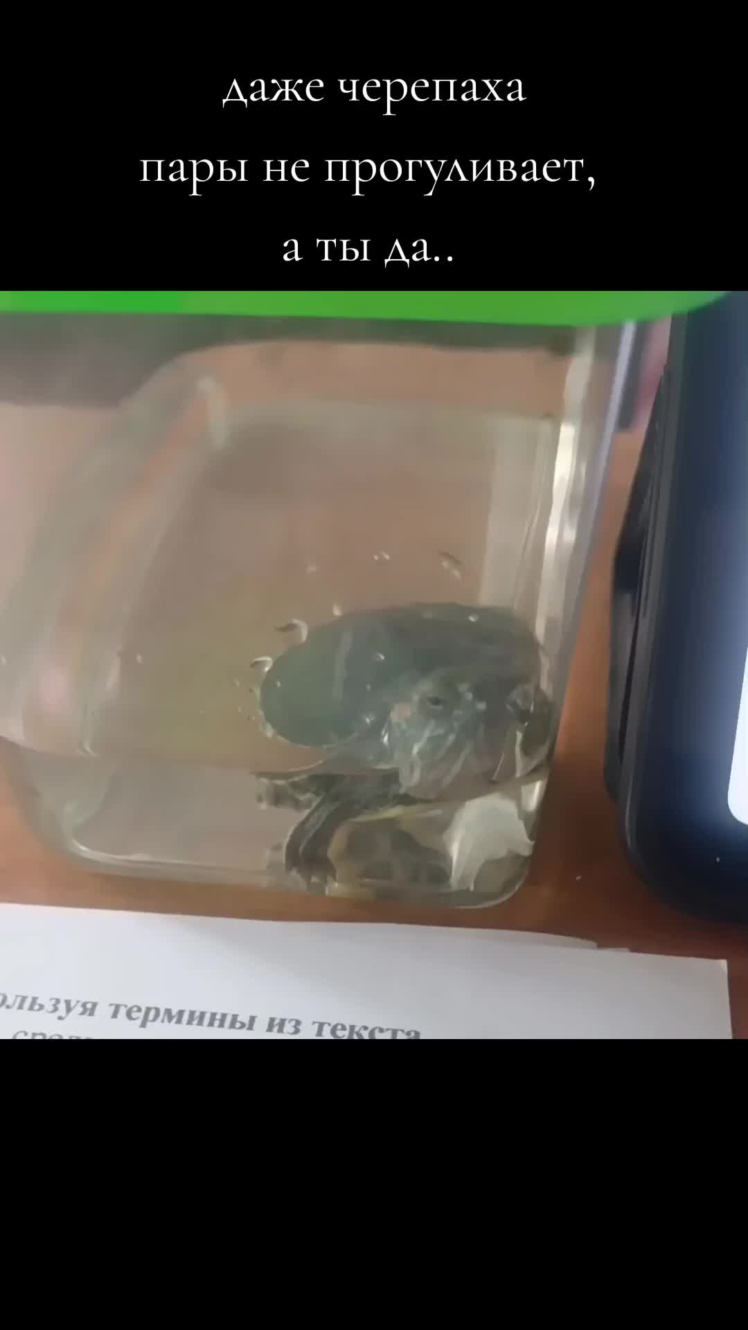 @∆ЮриКо∆@