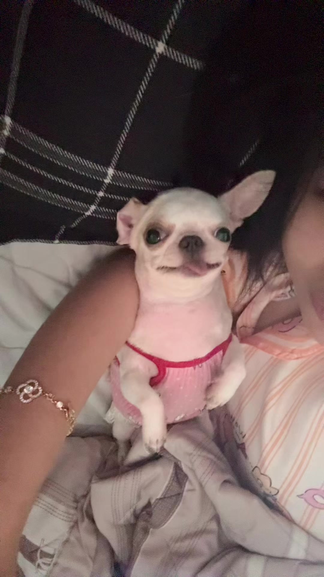@L&uacute;n L&egrave;👽