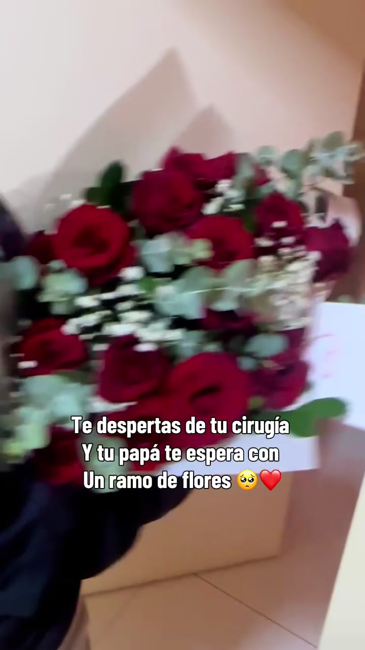 @Evelin Gomez