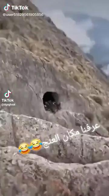 @🦅أبو 🦅غزل 🦅