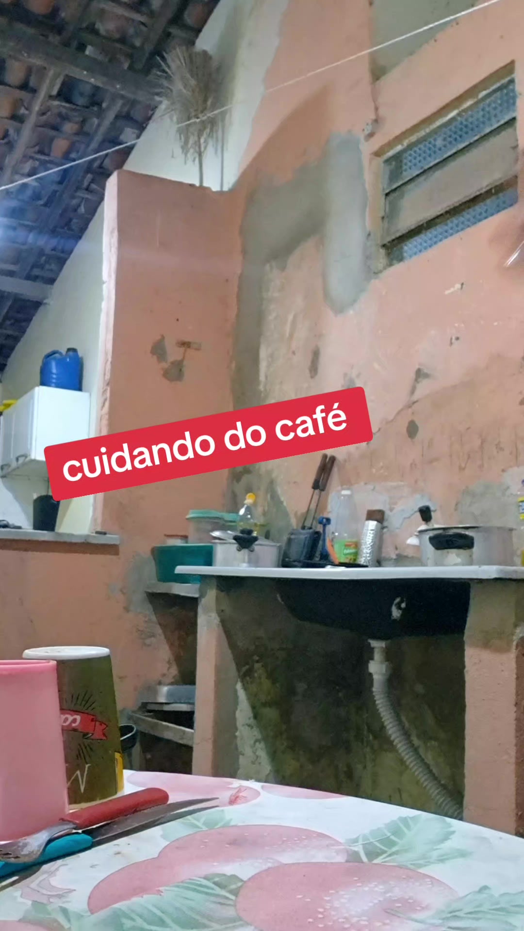 @Regina Souza
