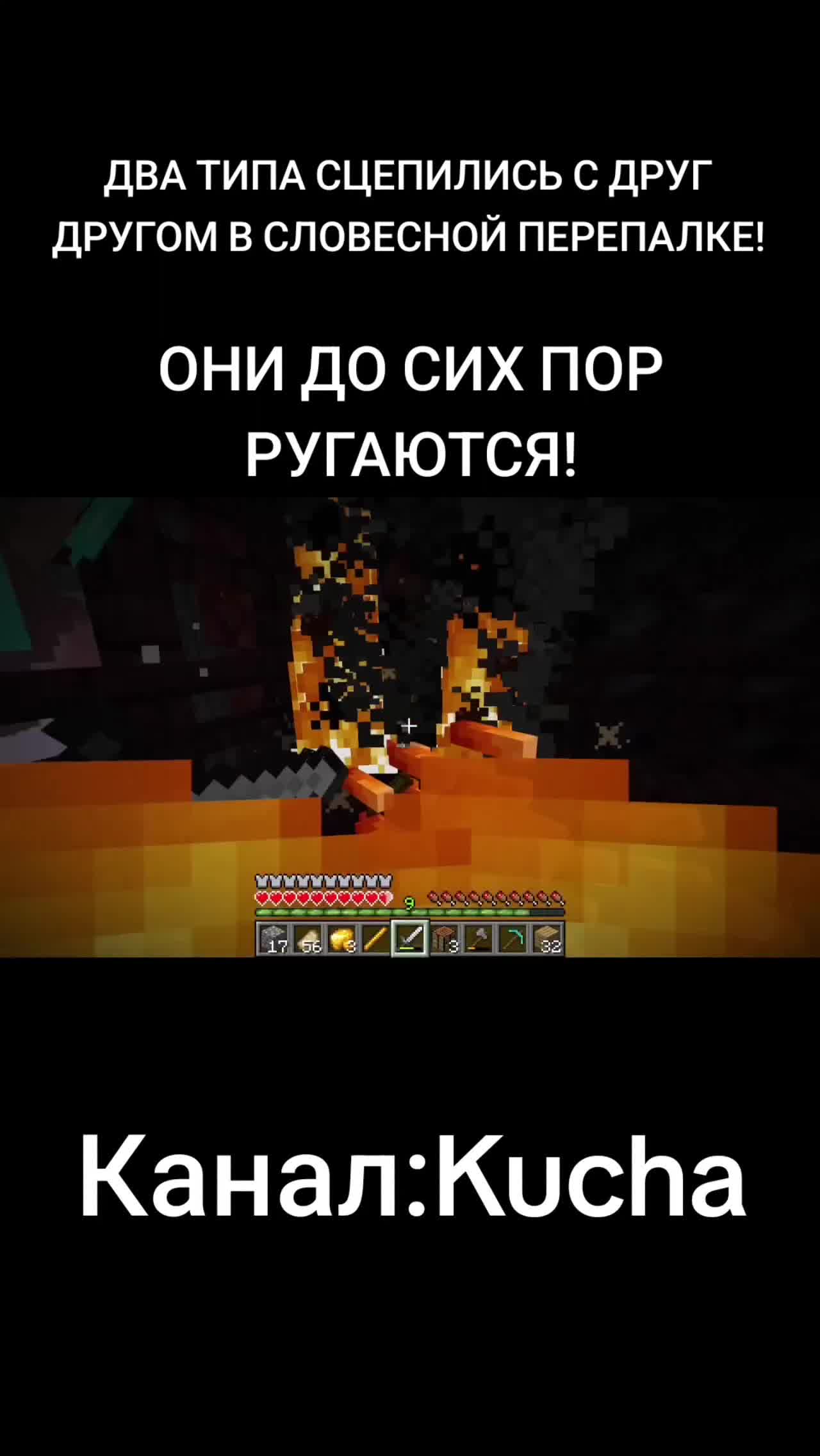 @svinina