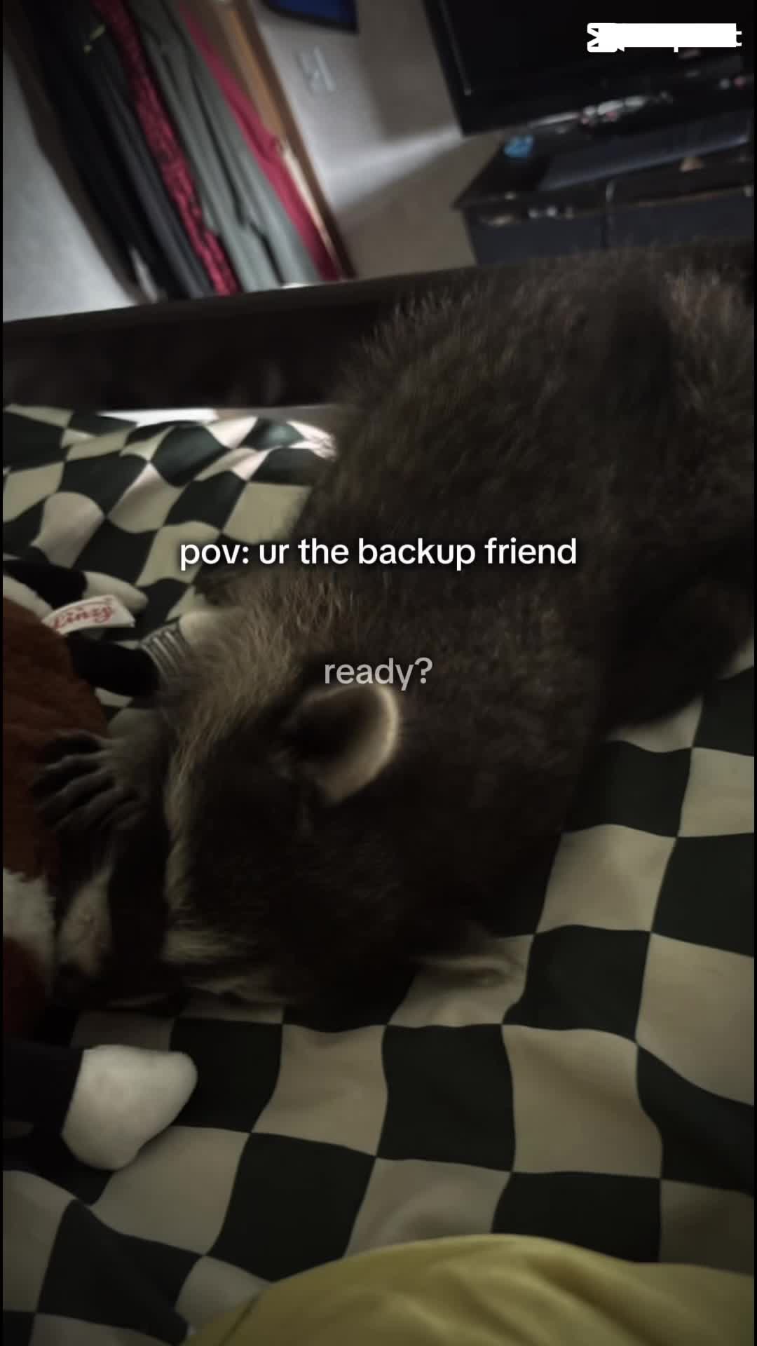@caden836