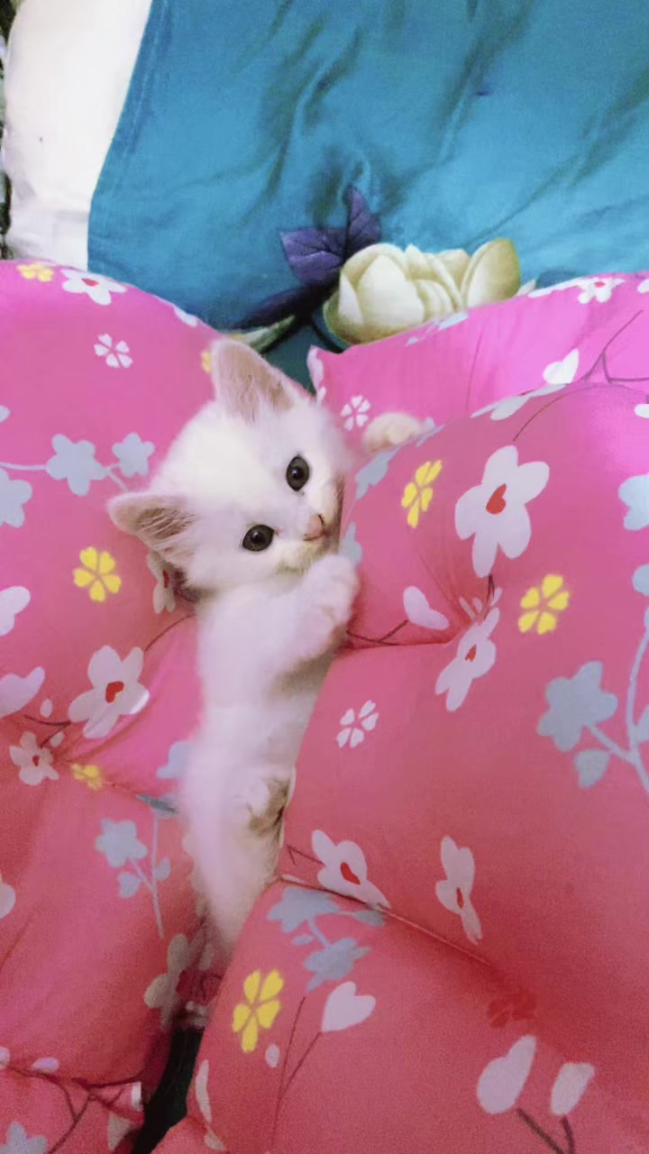 @🥰moni🥰
