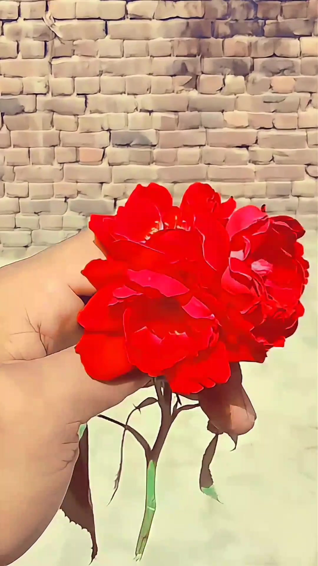 @꧁🌹💫 𝓐𝓻𝓫𝓪𝔃 𝓫𝓪𝓭𝓼꧂