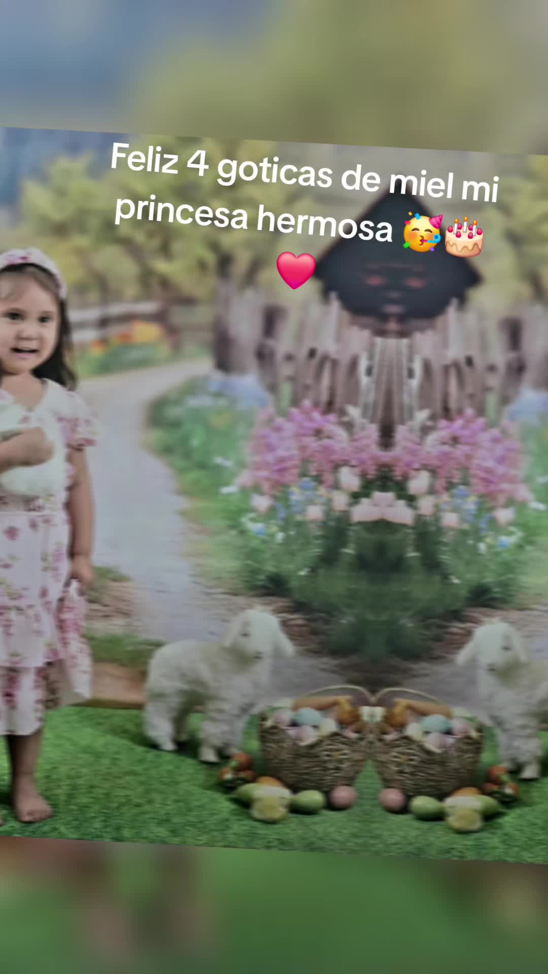 @Leticia Gandara