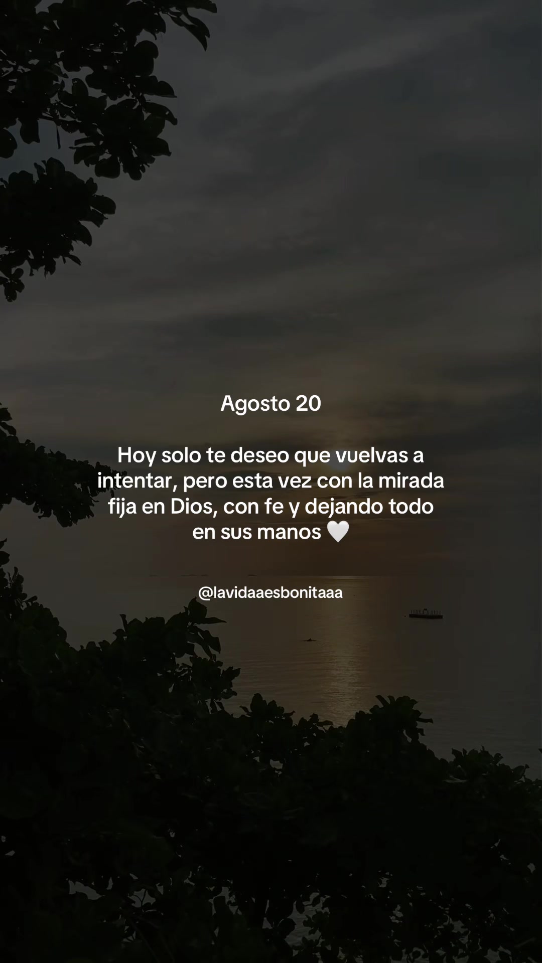 @vidabonita❤️🩹