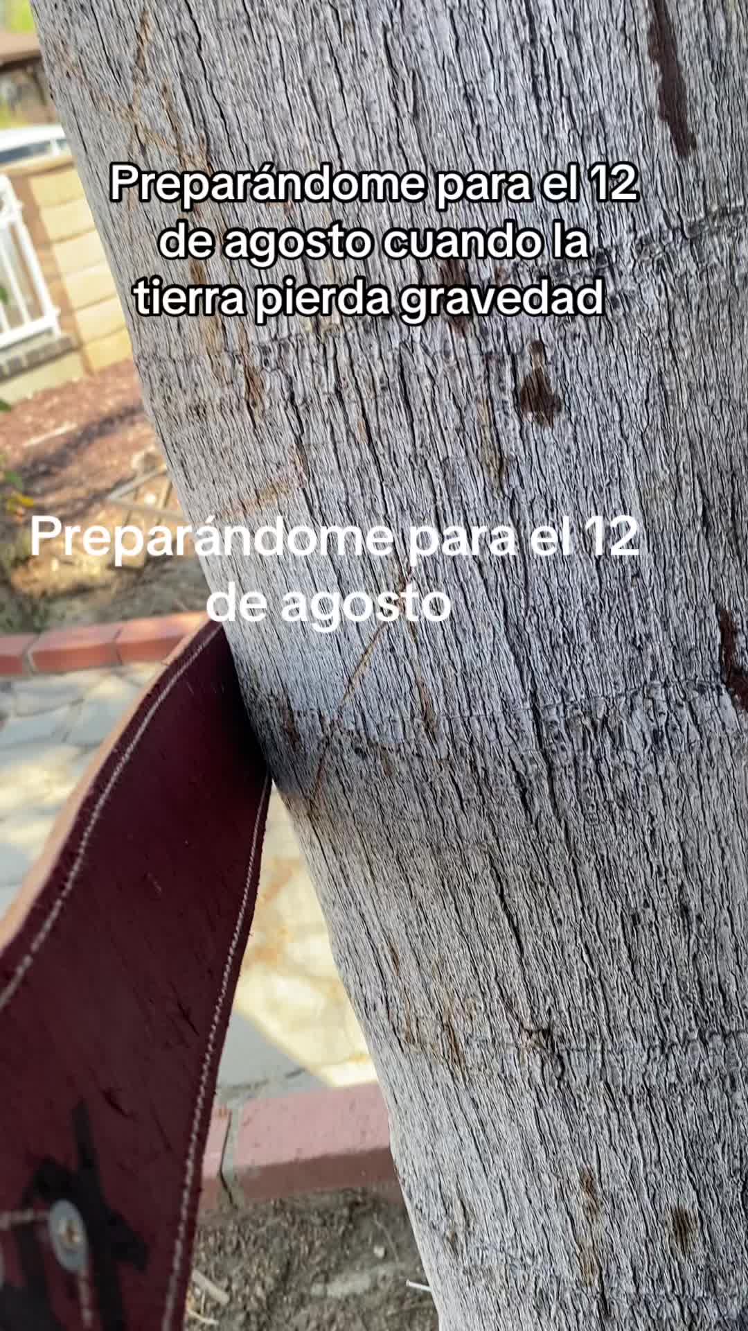 @lorenacampos3223