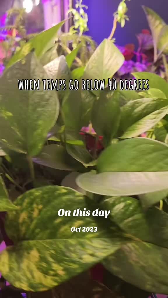 @EclecticAly