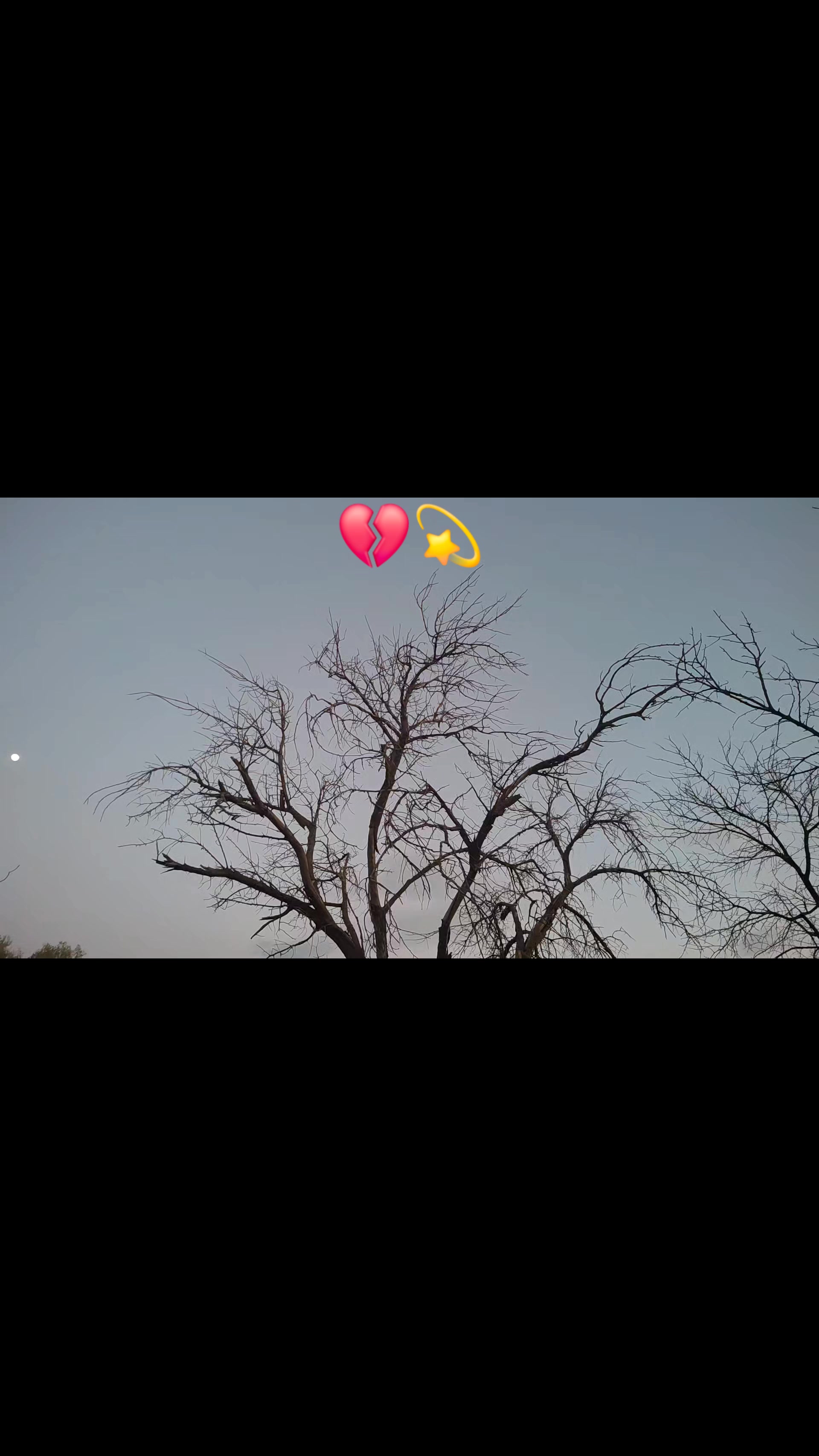 @sweets_ฤลฤ
_๐ซ