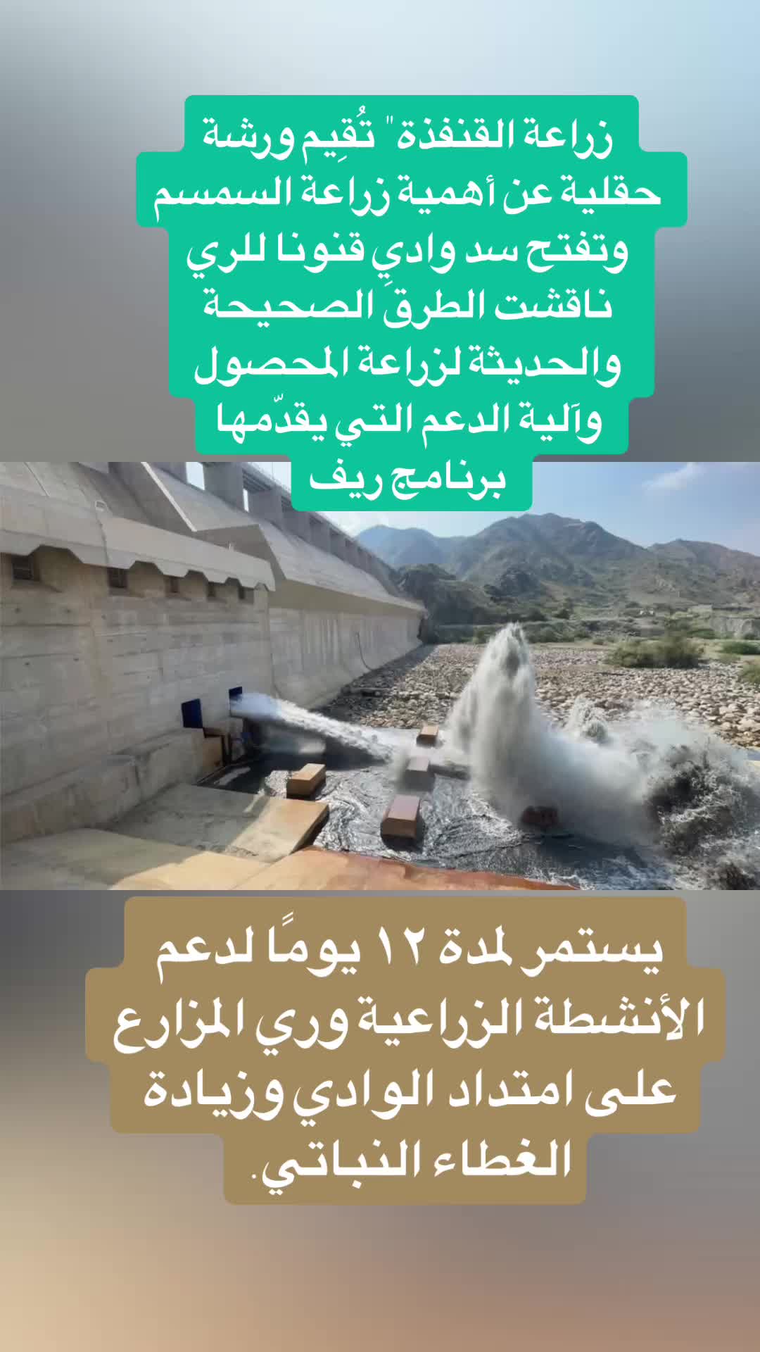 @qunfudahnet