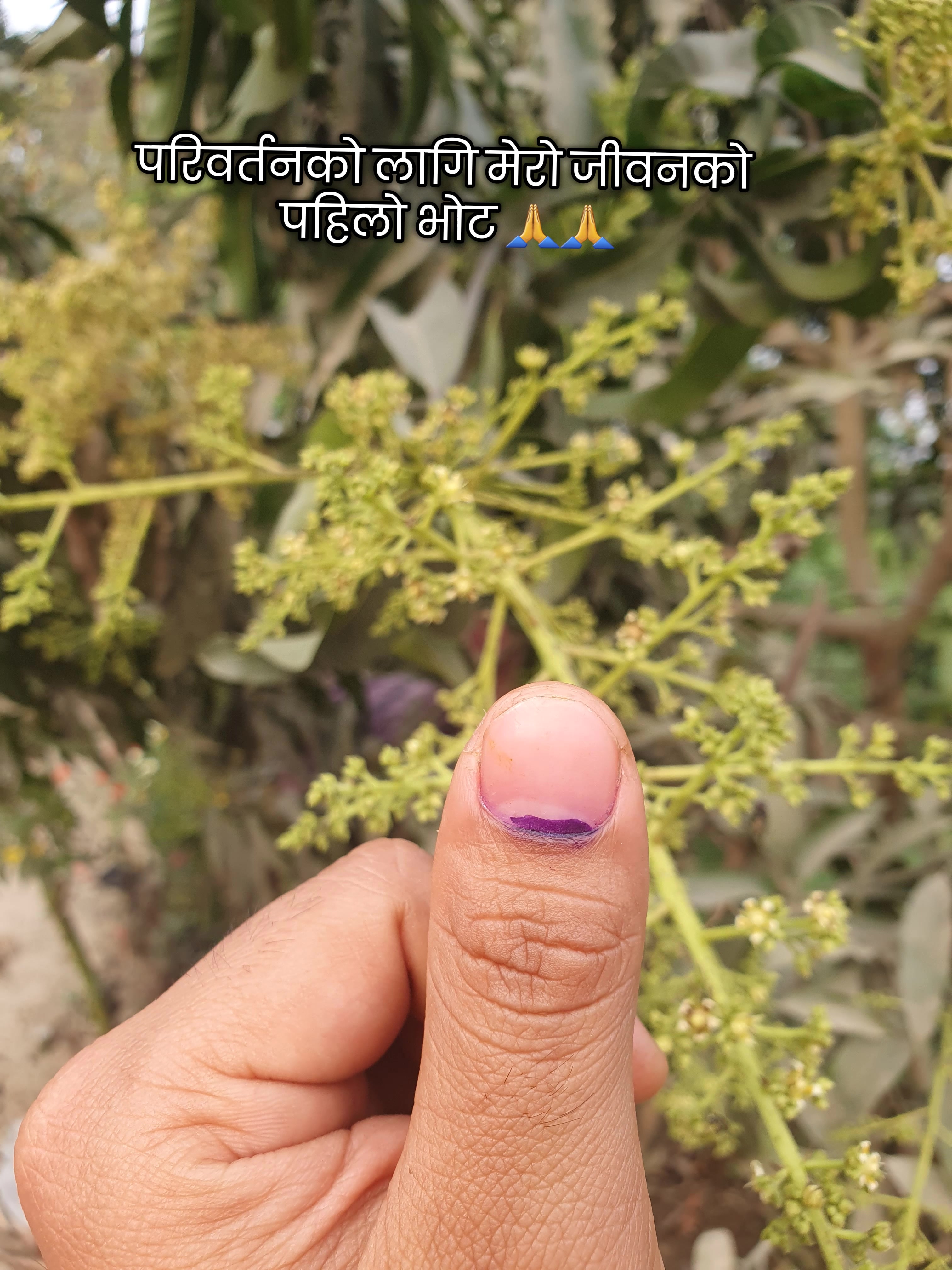 @Nabin joshi