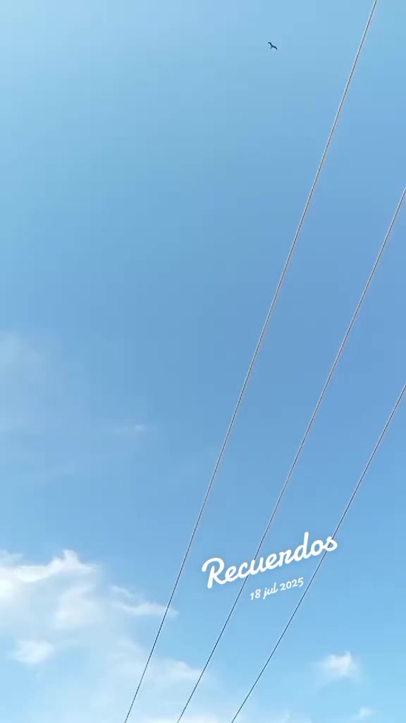 @luispuche21