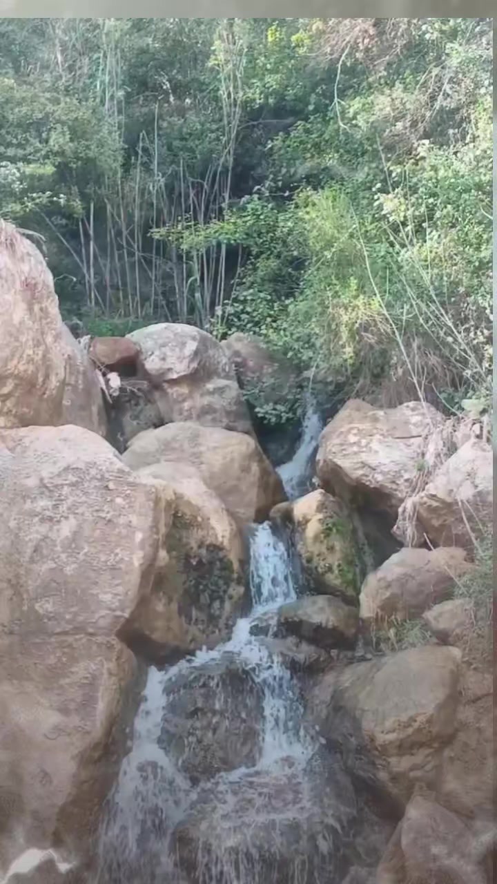 @oğuz