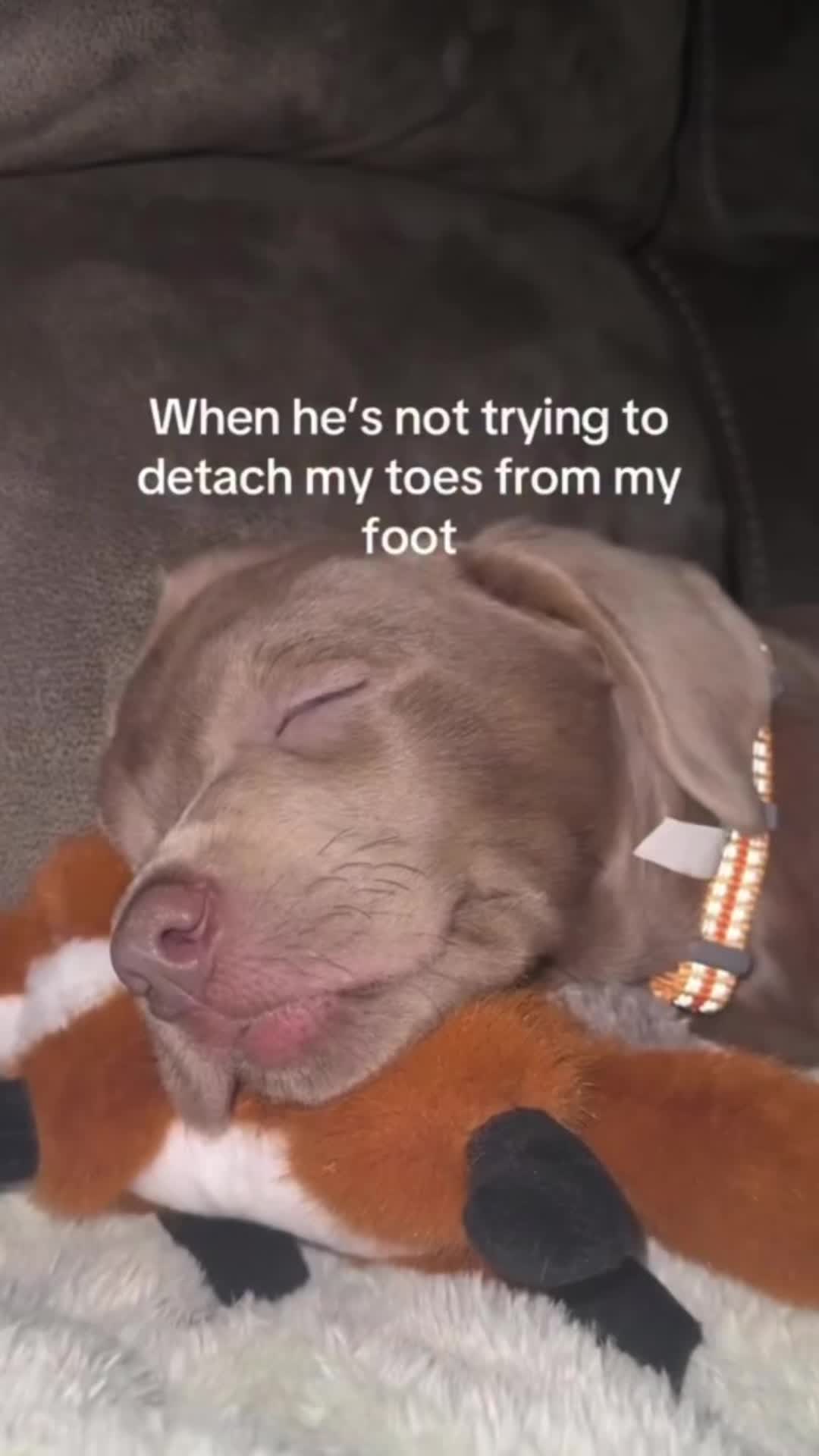 @JENNS