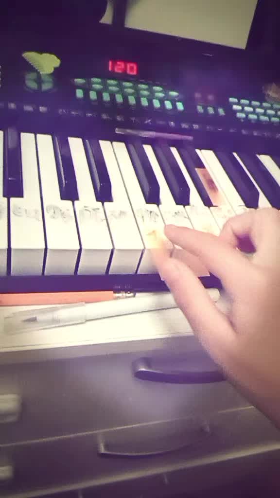 @🦭Дашонка🦭🦈🐾