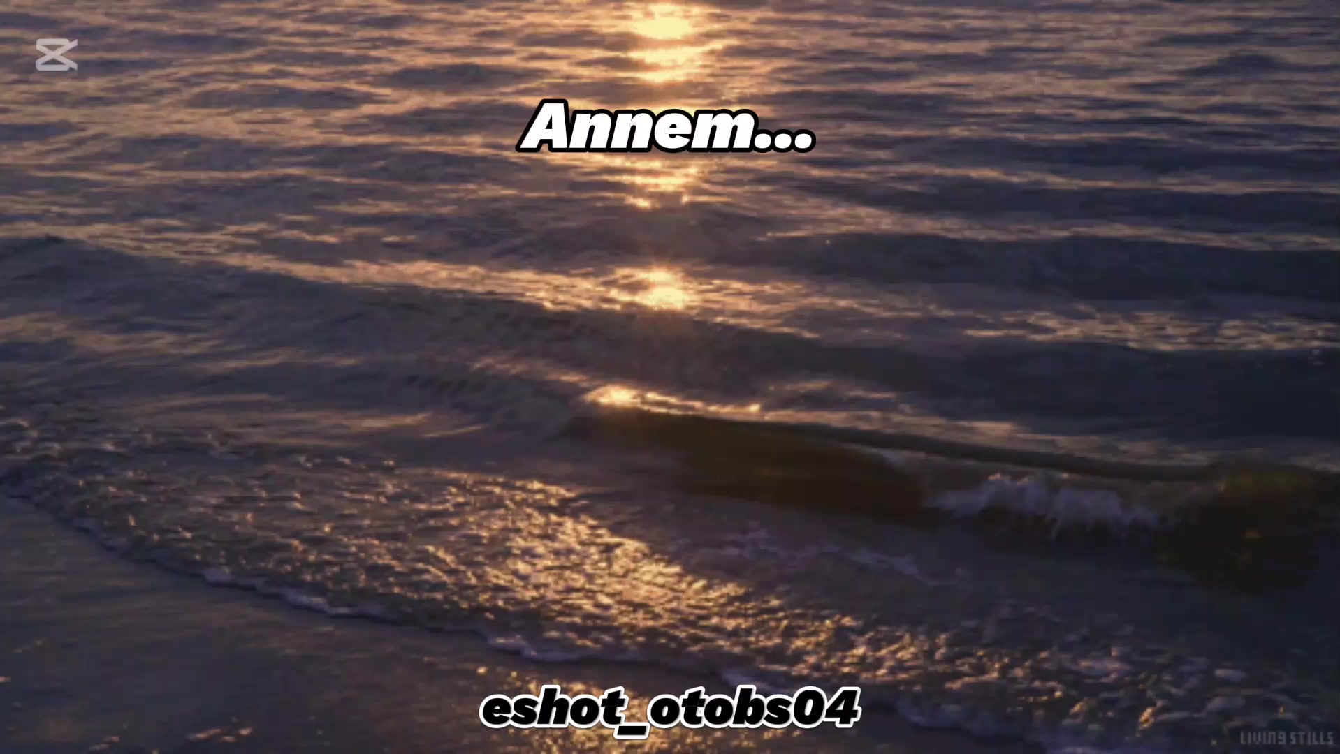 @eshot_otob&uuml;s04